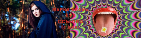 амф Алексин