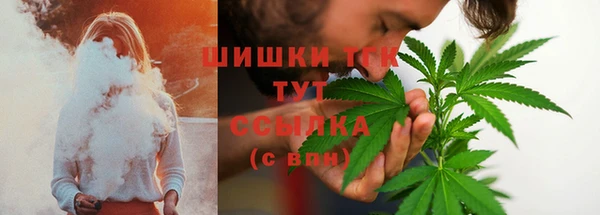 соль ск Пестово