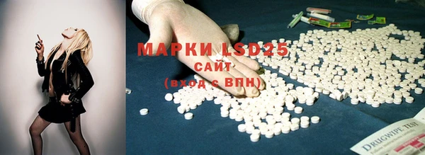 амф Алексин