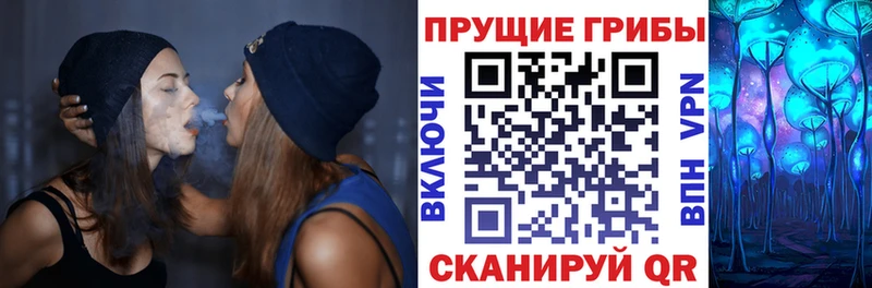 Галлюциногенные грибы ЛСД  Невьянск 